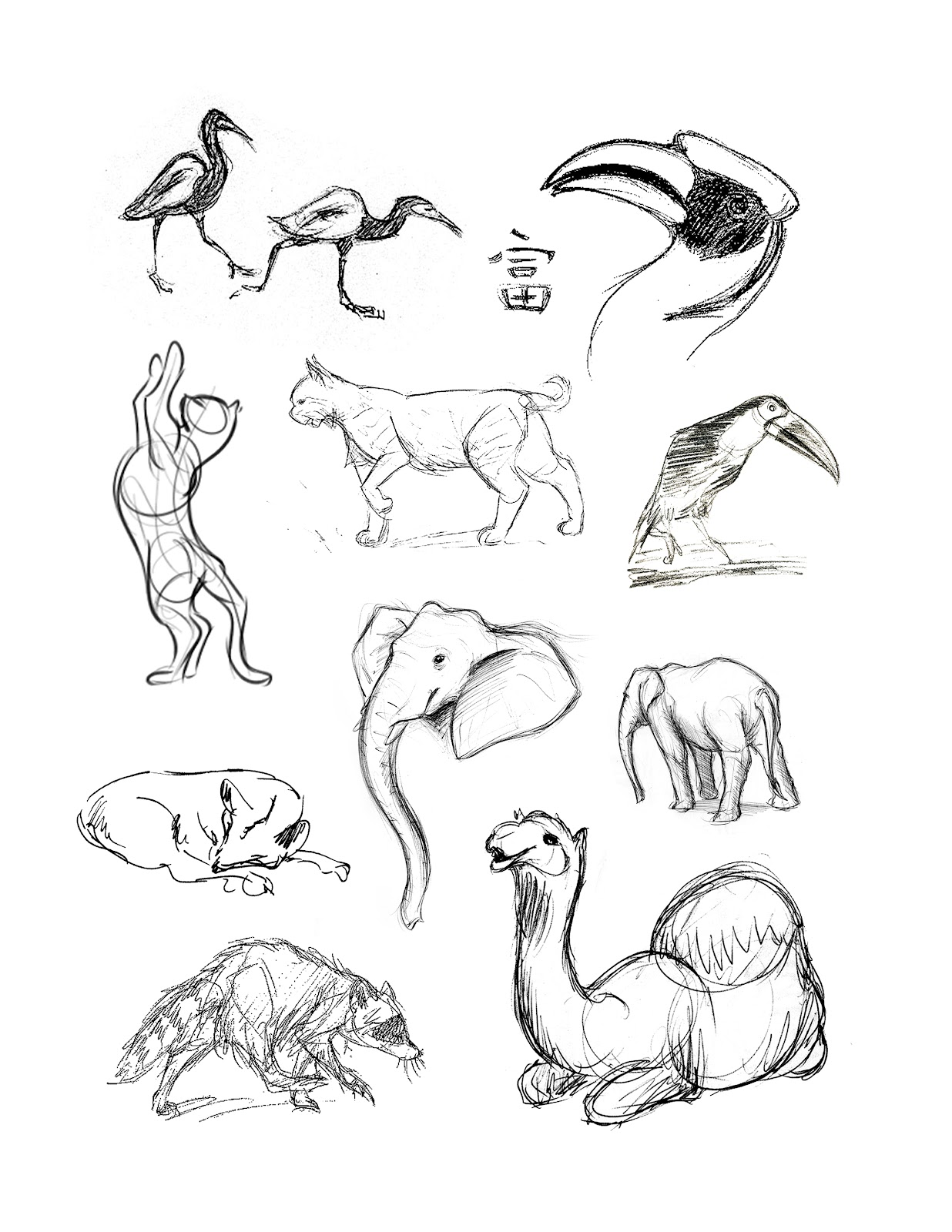 Drawing Animals With Fur  Art Starts  Animal sketches easy Easy animal  drawings Cute easy animal drawings