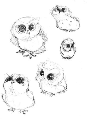 Chibi Owl by Tolina on DeviantArt