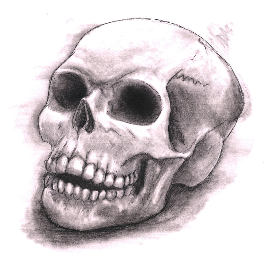 Skull Drawing - 3D Drawing