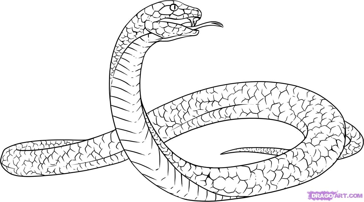 Free Snake Drawing, Download Free Snake Drawing png images, Free ...