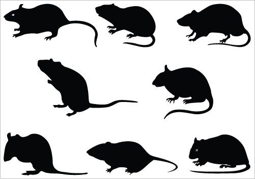 Rat Silhouette Clip Art Pack | Halloween party ideas | Clipart library