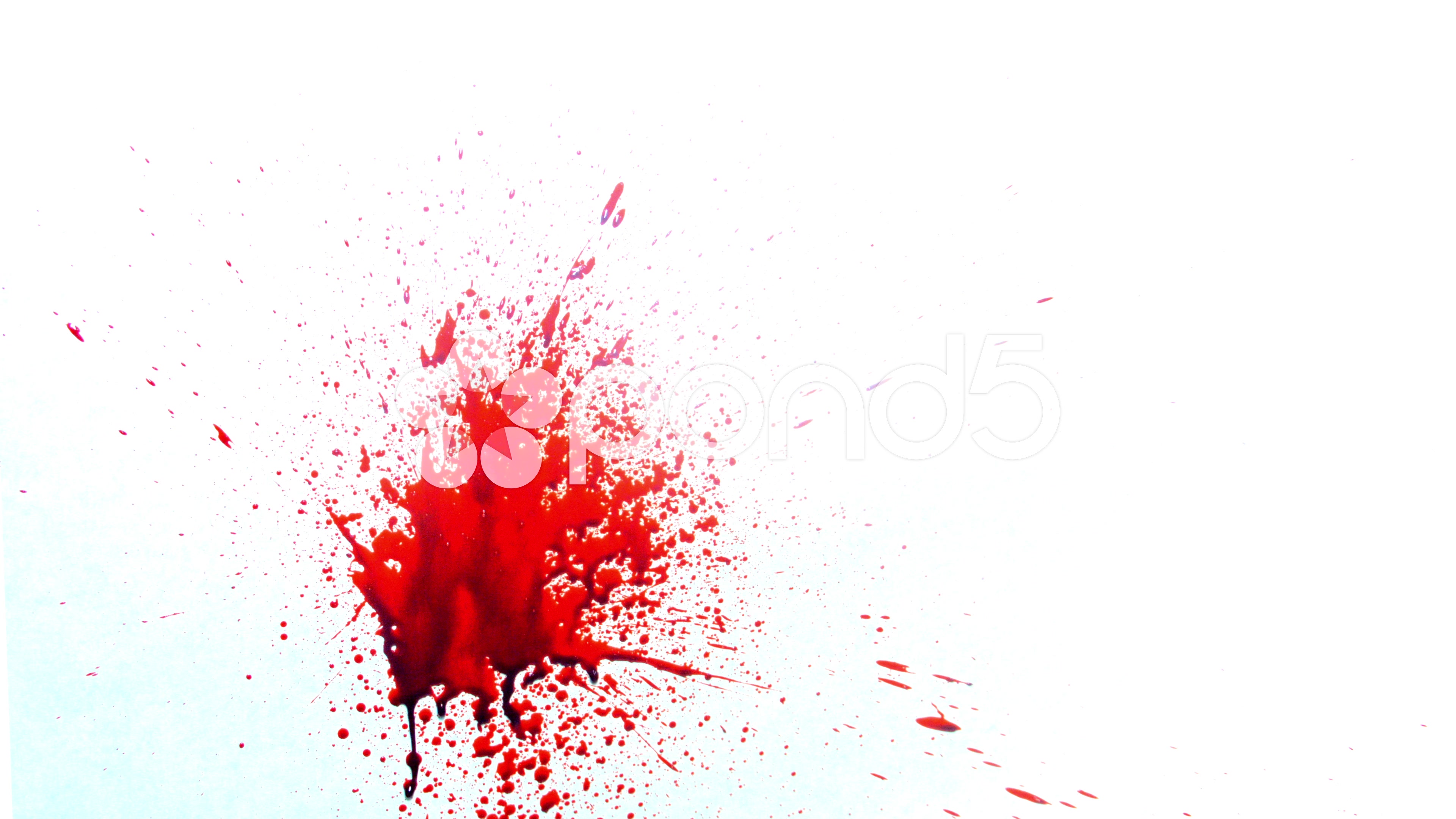 Blood Splatter | Movie Pictures