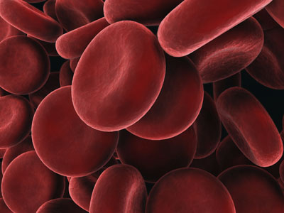 How Blood Works - HowStuffWorks