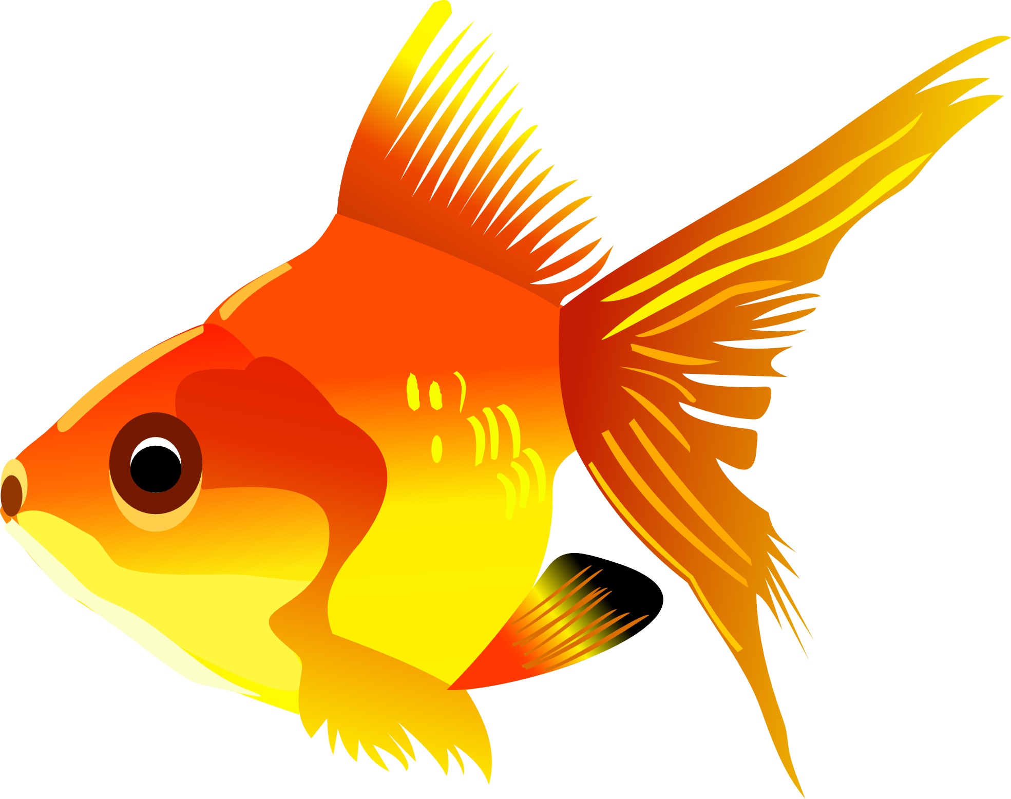 Free Fish Imeges, Download Free Fish Imeges png images, Free ClipArts ...