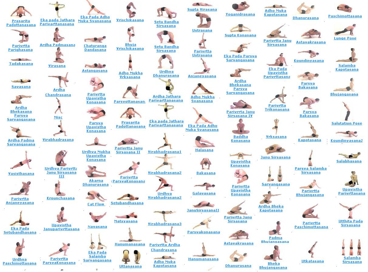 Yoga Poses A Guide to Understanding and Practicing