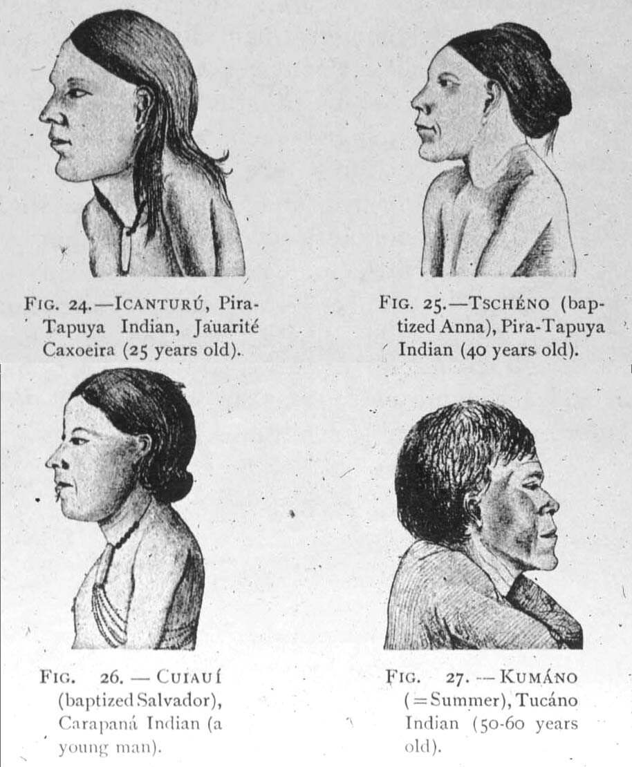 Historical Ethnographic Portraits of Indigenous Brazilians - 19th-Century Illustrations