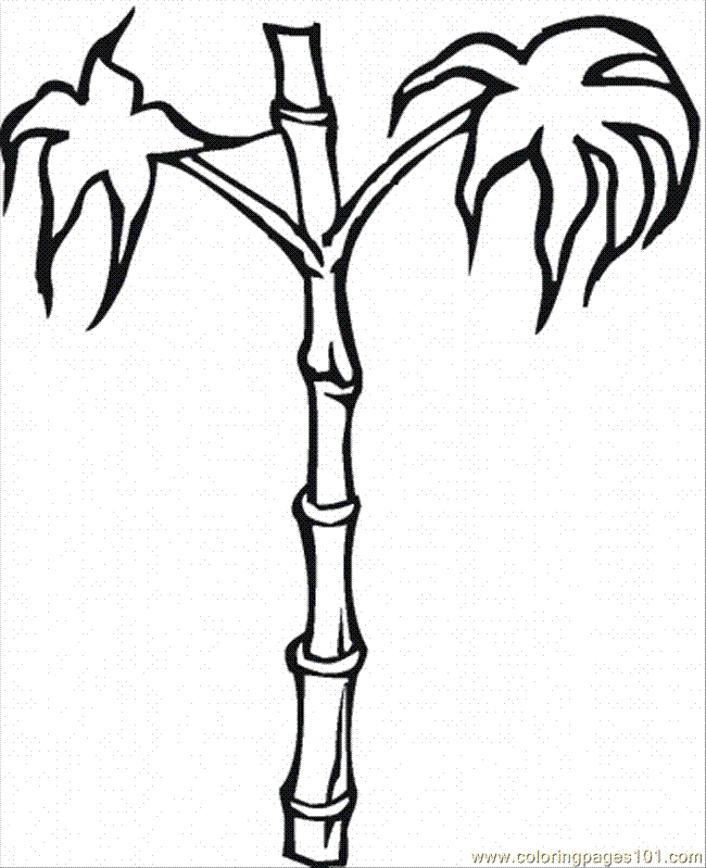 Black-and-white line drawing of a bamboo plant with segmented stalk and feathery leaves, ideal for coloring pages.