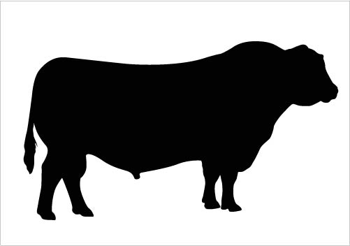 Bull Silhouette Vector Clipart Quality Download Silhouette Graphics