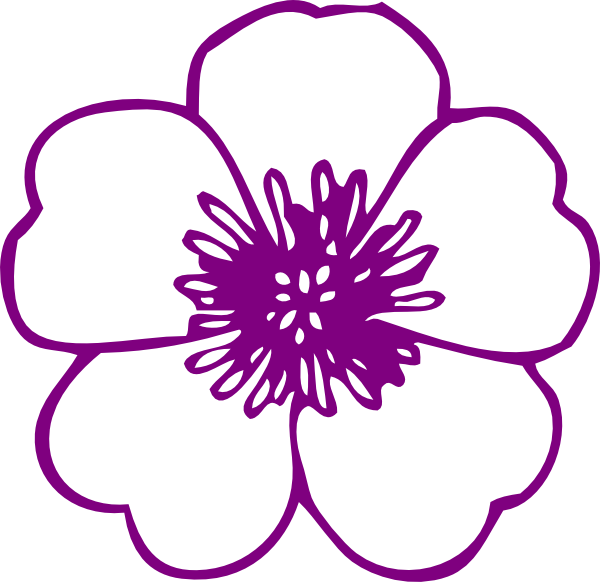 Purple line-art illustration of a five-petaled flower with detailed stamen center on white background.