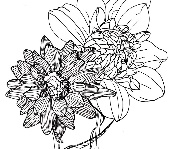 Flower Stem Thin Line Art Print. Minimalist Flowers Doodle. - Etsy