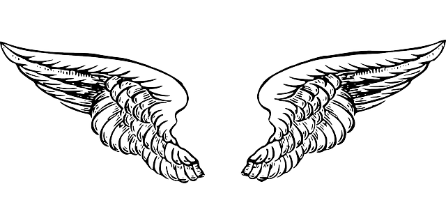 Artistic Angel & Bird Wing Vector Designs: SVG, PNG, & More! -  FreePatternsArea