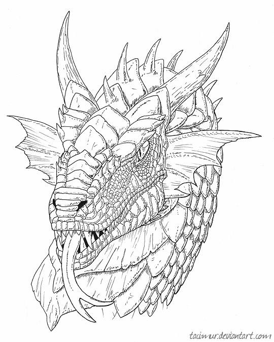 Black-white dragon portrait by Tacimur on Clipart library