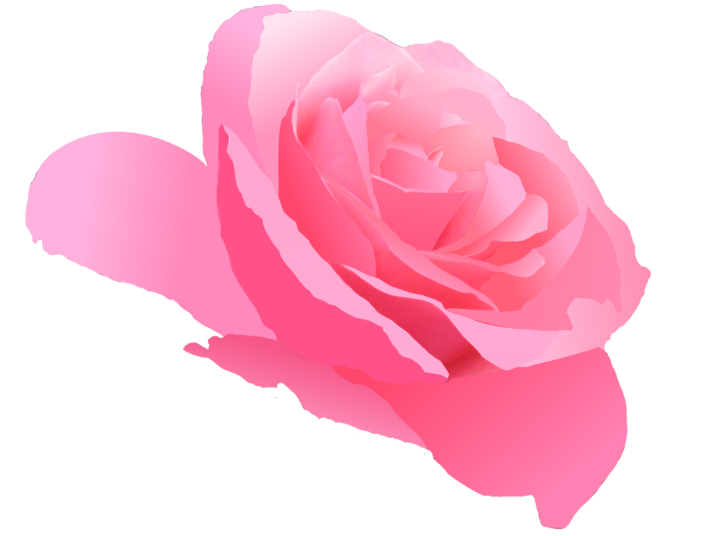 Pink Roses Vector Png : Blue rose flower, blue rose background, blue ...