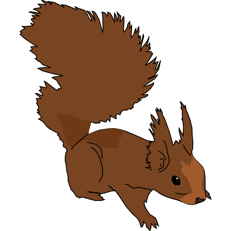 Clipart - Squirrel