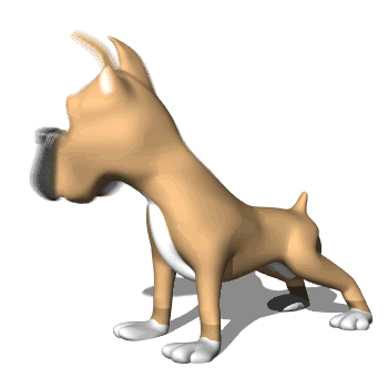 Transparent dog weird GIF on GIFER - by Adontrius