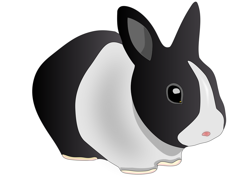 Free Stock Photos | Illustration of a black and white rabbit 