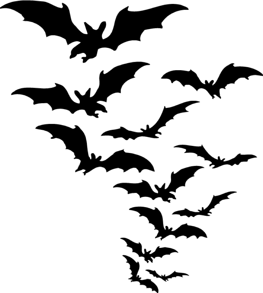 Silhouette of a swarm of bats flying in formation against a white background, ideal for Halloween or spooky themes.