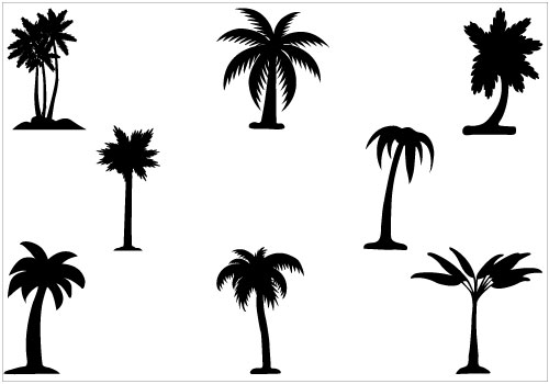 Minimalist Black Palm Tree - Funny Palm Tree - Sticker