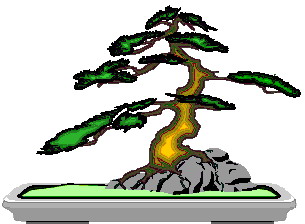 Bonsai Tree Illustration - Artistic Representation of Miniature Japanese Tree