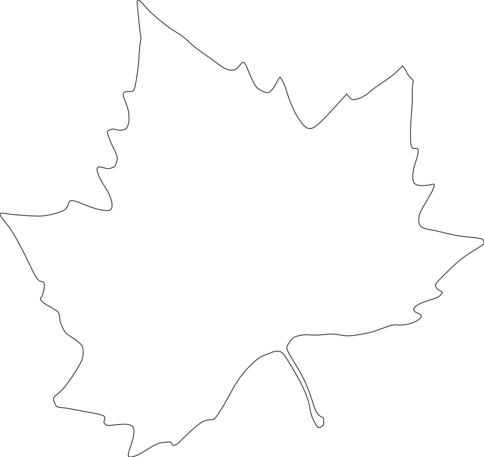 Fall Leaves Clipart Black And White Border | Clipart library - Free 