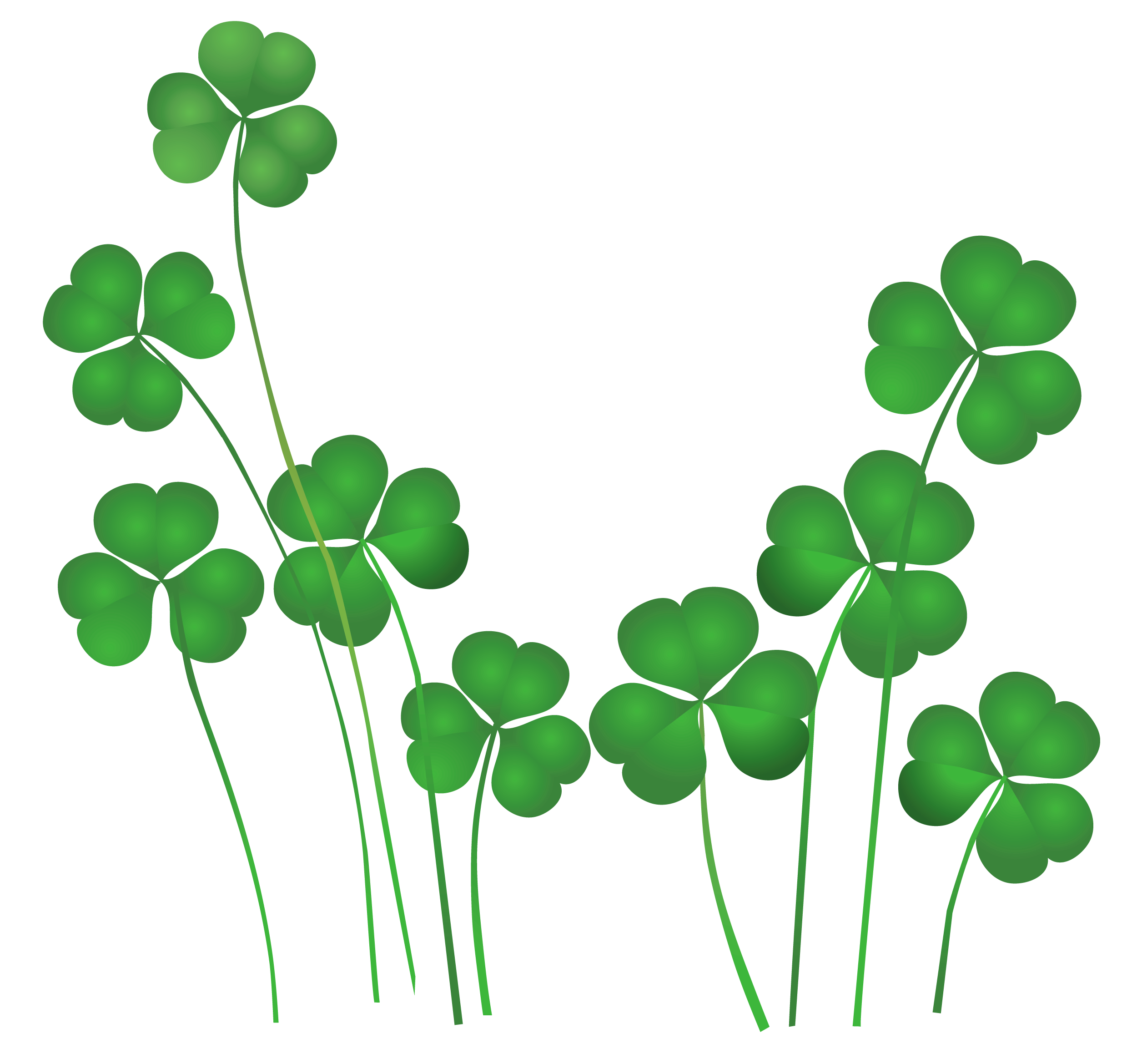 Of Sea Lions, Shamrocks, St. Patrick, Snakes and Spring  St patricks day  wallpaper, Saint patricks day art, Shamrock pictures