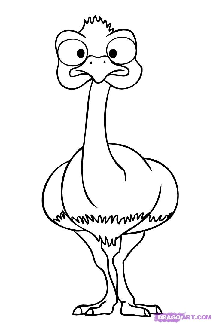 ostrich face drawing easy - Clip Art Library