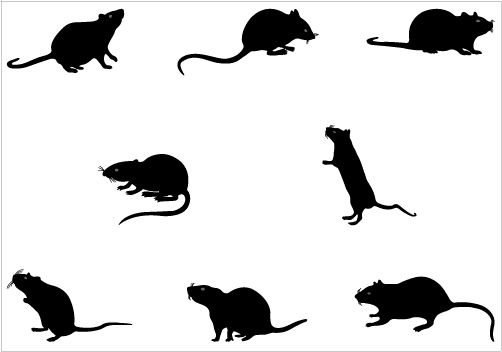 Rat Silhouette Vector Graphics | Silhouette Clip Art | Clipart library