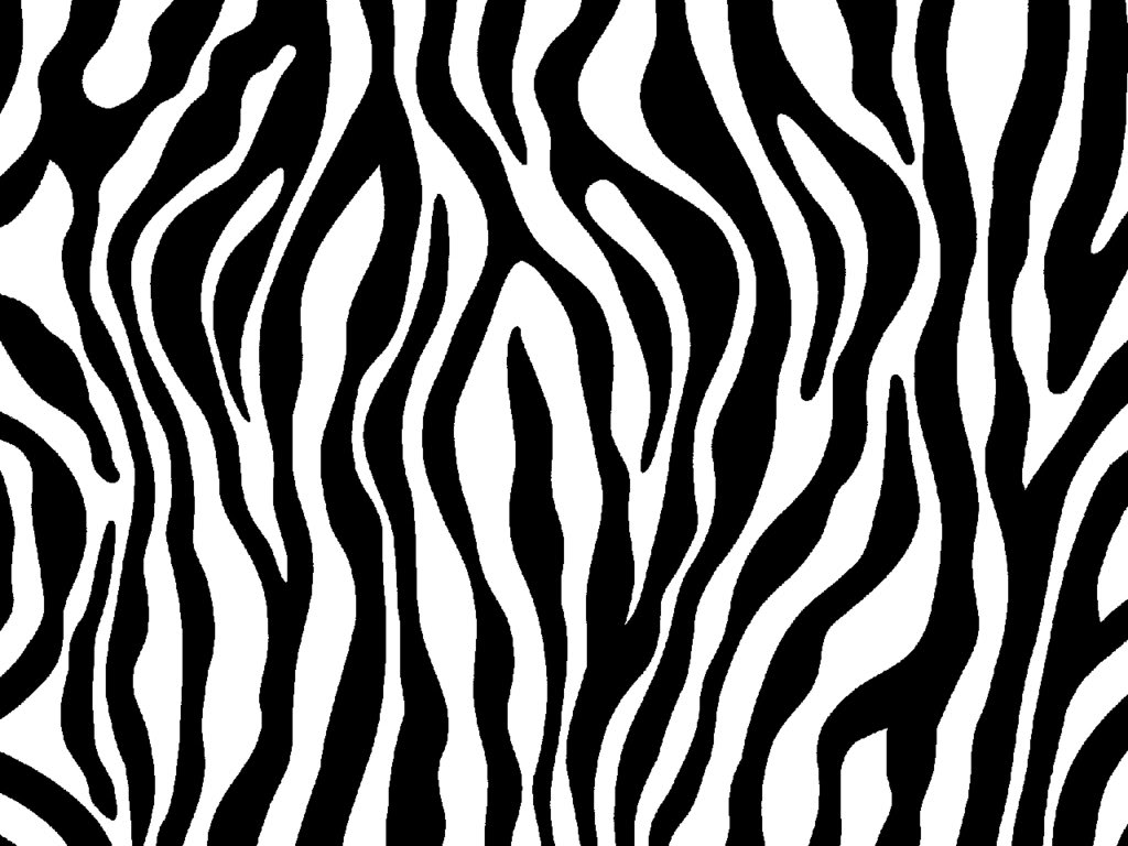 8. Black and White Zebra Print Nail Tutorial - wide 4
