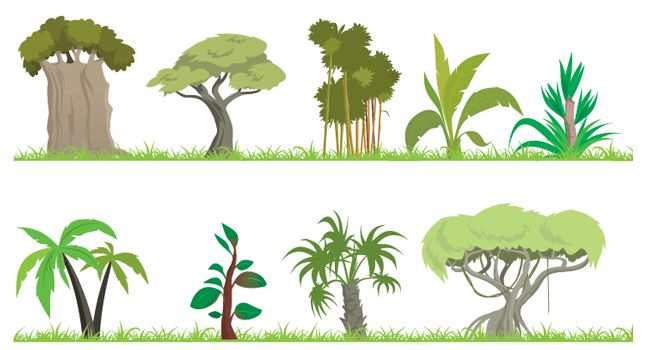 Jungle Vector Png - Clipart library