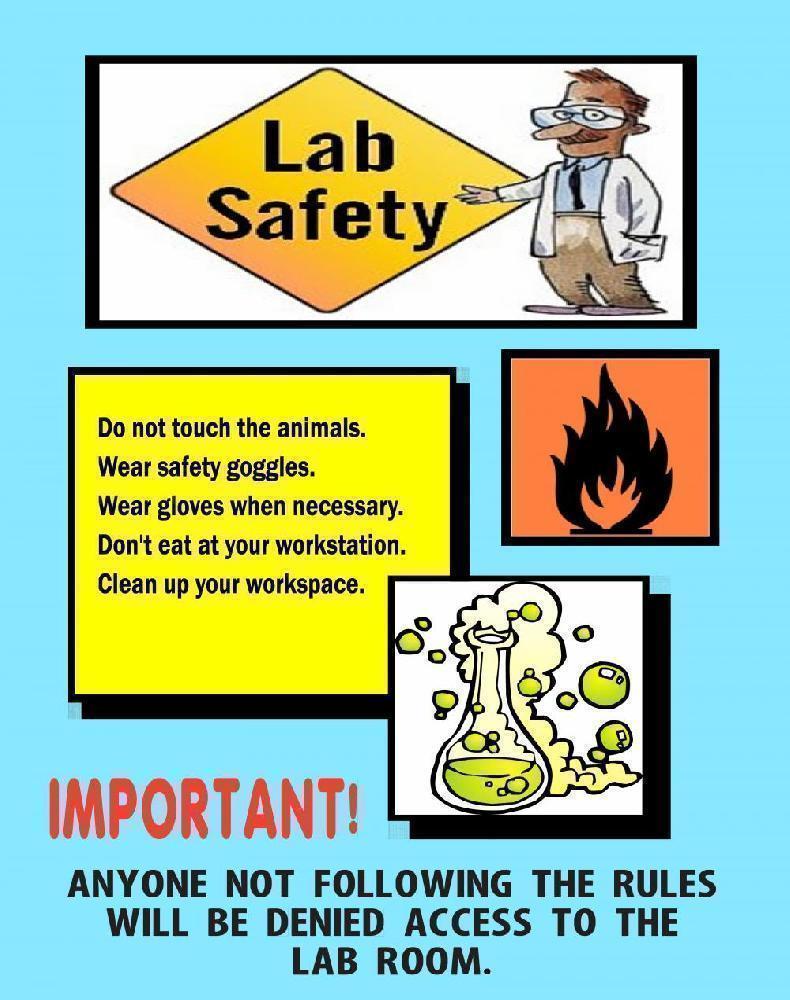 Science Safety Posters