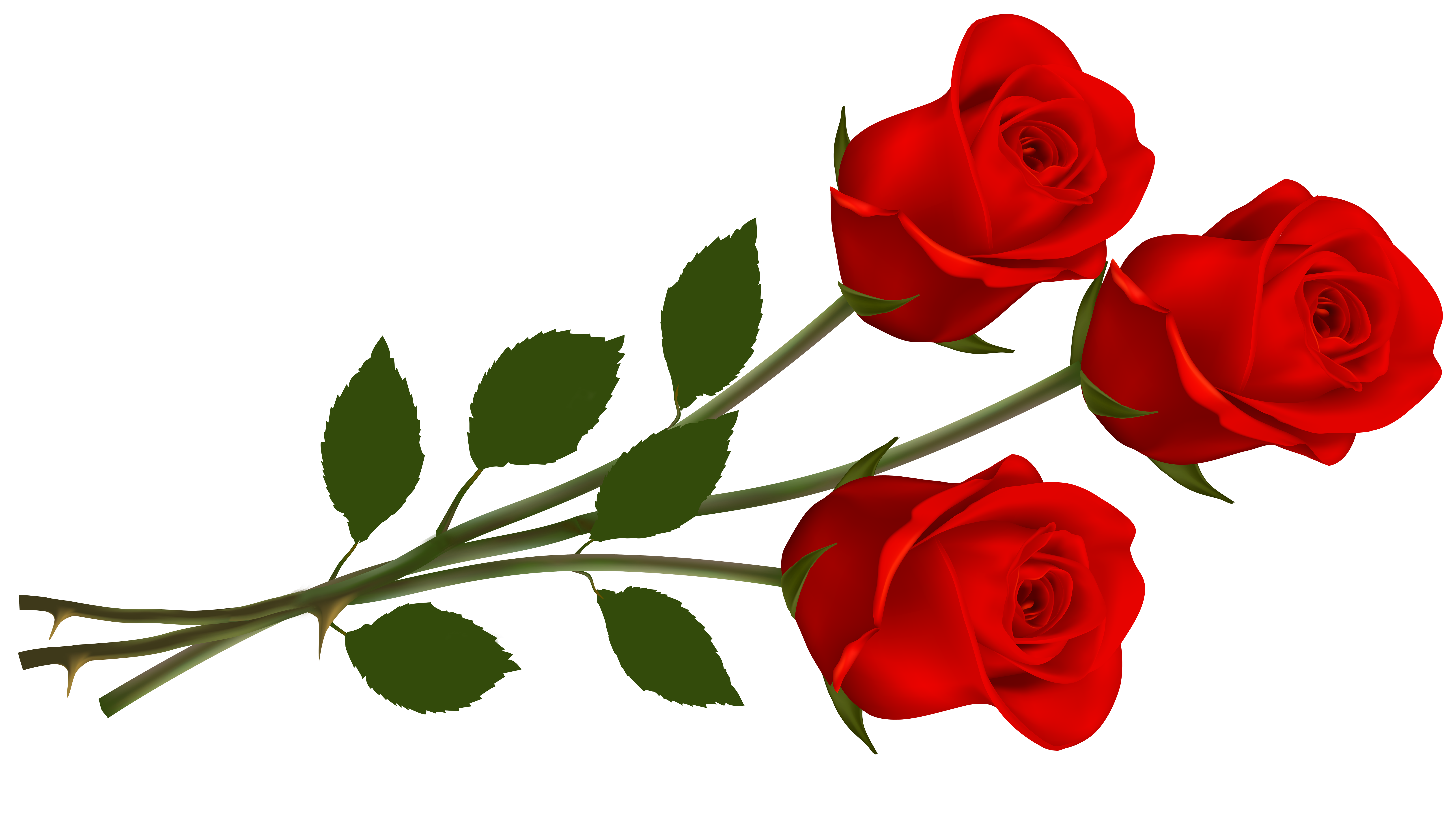 Large Red Roses PNG Clipart