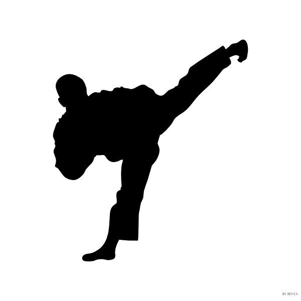 Karate Patada clip art - vector clip art online, royalty free 