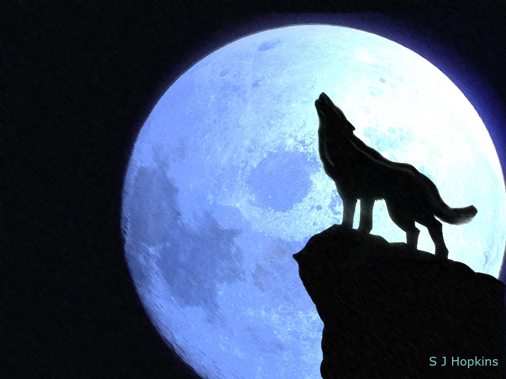 Howling Wolf Image - Clipart library