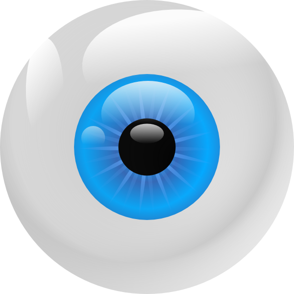 Eyeball clip art - vector clip art online, royalty free  public 