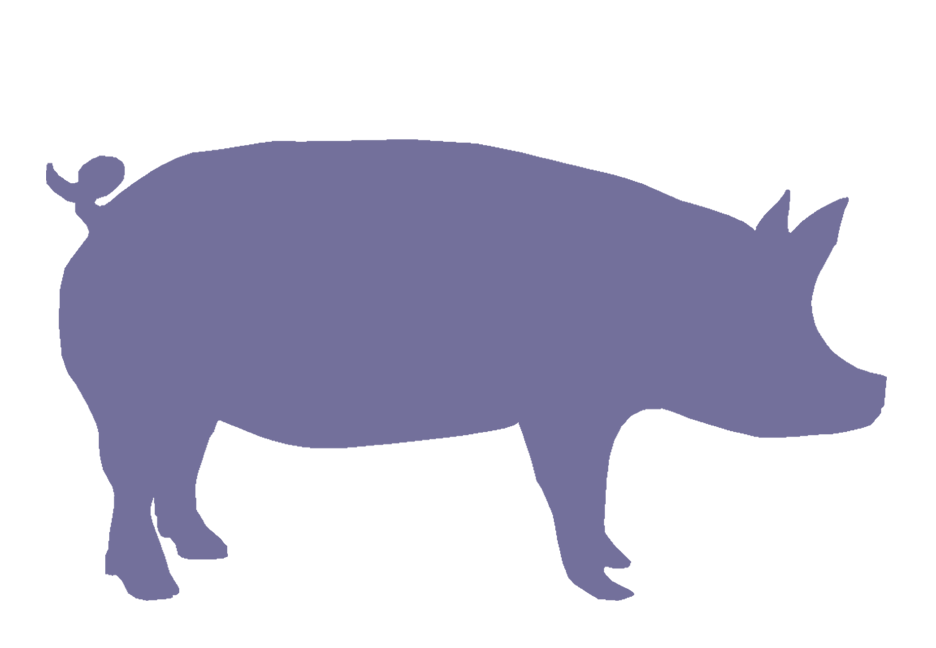 Pig Face Silhouette