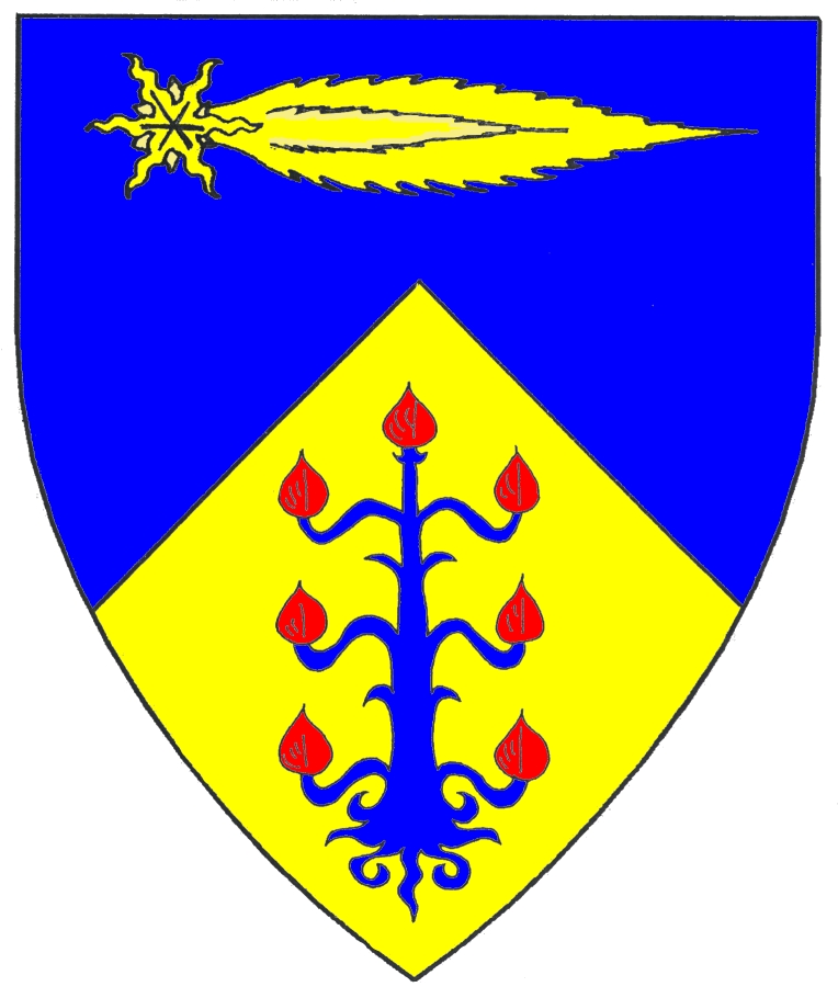 Heraldic Coat of Arms with Comet and Tree Motif - Symbolism and Design