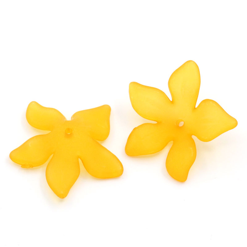 Free Images Yellow Flowers, Download Free Images Yellow Flowers png ...