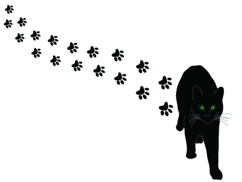 A black cat with glowing green eyes walks forward, leaving a trail of paw prints behind on a white background.