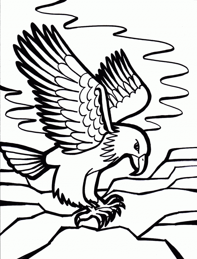HD wallpaper: eagle, wings, sea, attack, birds, bald eagle, animal, animal  wildlife | Wallpaper Flare