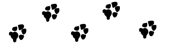 Dog Paw Print Clip Art - paw print graphics to use for your projects