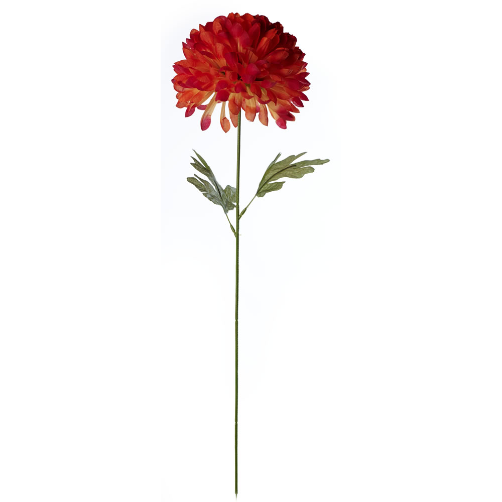 Flower Stems PNG Transparent Images Free Download