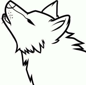 How To Draw A Wolf in 8 Easy Steps - AZ Animals