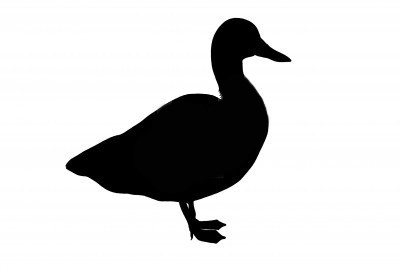 Duck Silhouette - Clipart library