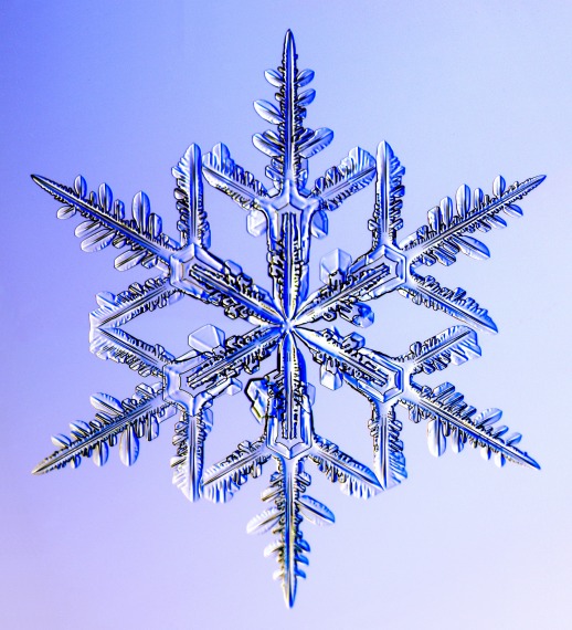 Stunning Macro Snowflake Photography - Nature’s Perfect Crystal