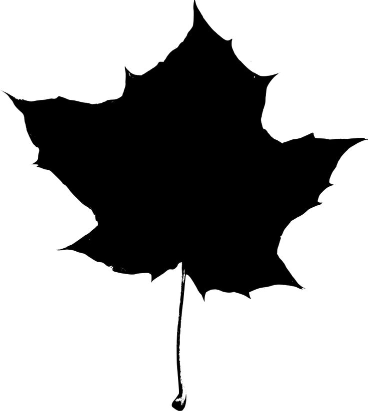 Maple leaf silhouette Clipart | Silhouette | Clipart library