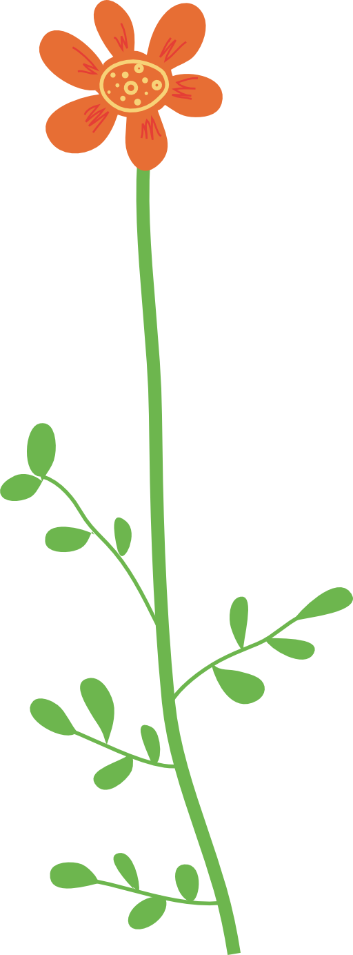 Orange Wildflower Illustration - Free Vector Graphic for Nature Projects