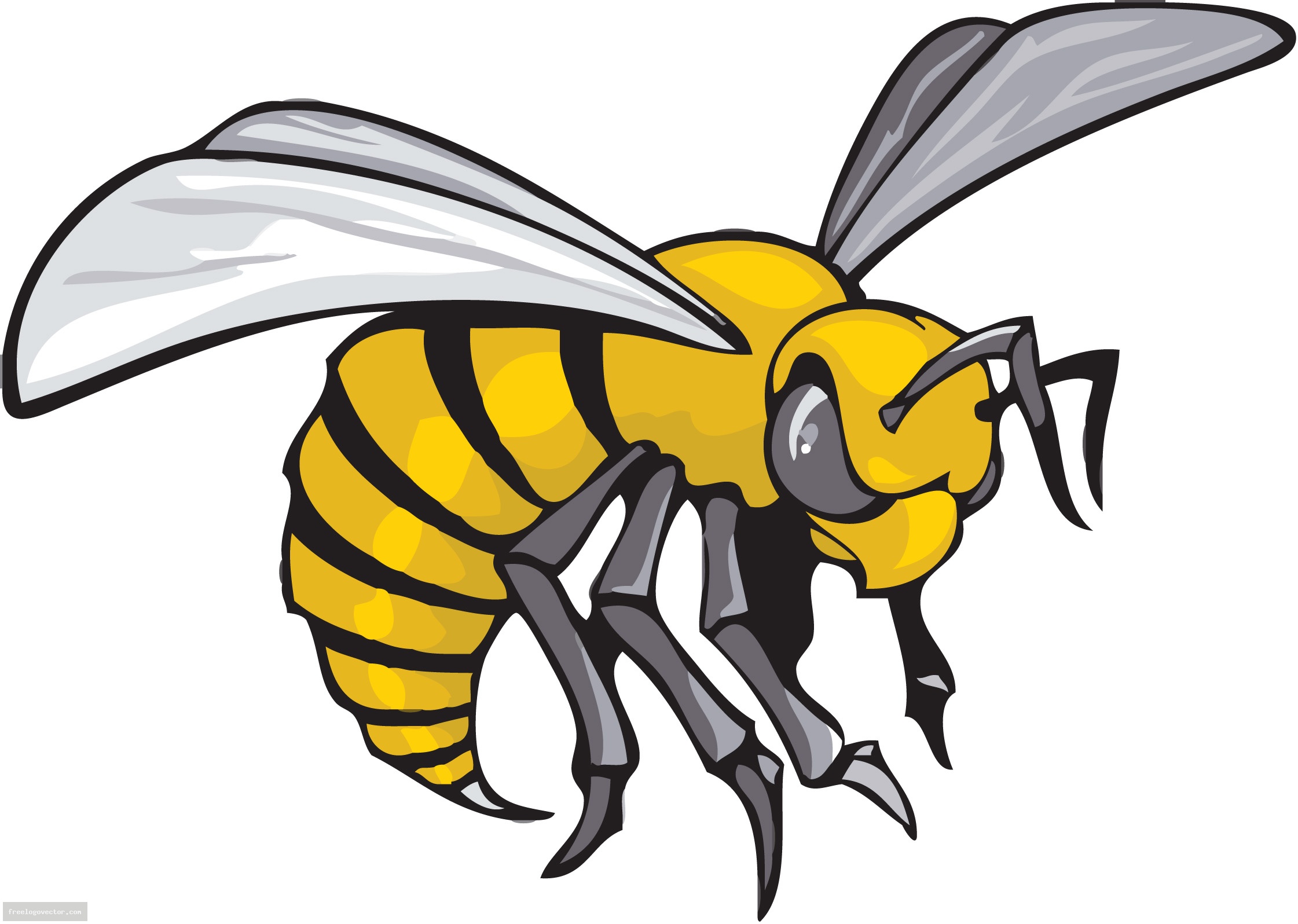 Hornet 20clipart | Clipart library - Free Clipart Images