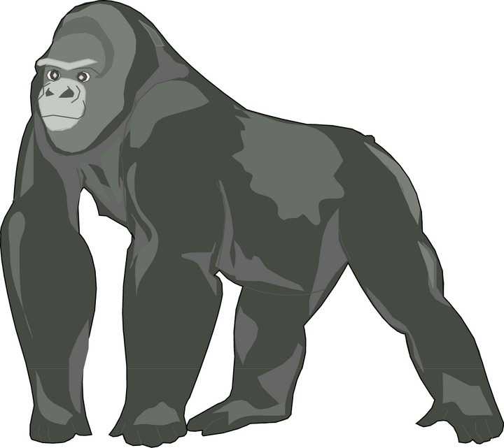 Gorilla Clip Art | Clipart library - Free Clipart Images