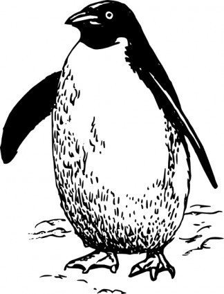 Penguin clip art Free vector for free download (about 55 files).