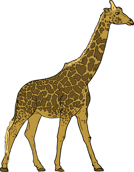 Pictures Of Cartoon Giraffes - Clipart library